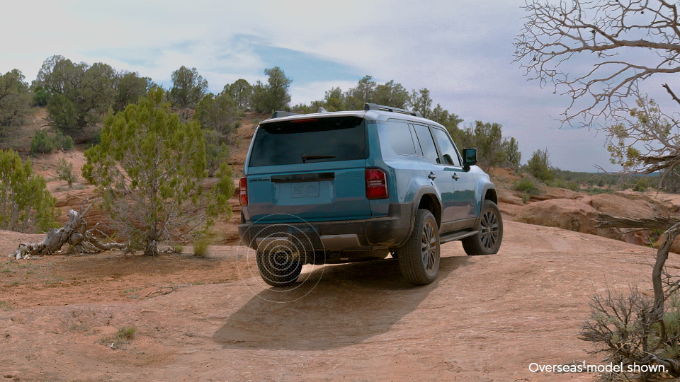 AdBlue Exhaust Steam-Prado-Disclaimer-960x540